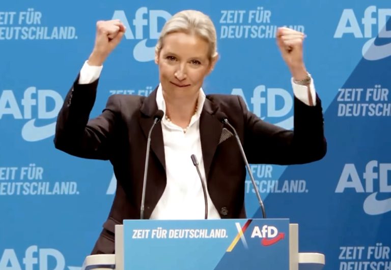 alice-weidel-afd-kand-kanclerz-niem